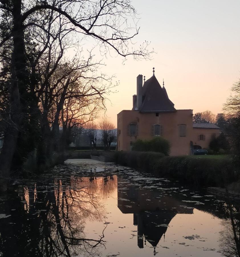 Chateau De La Venerie Denice Экстерьер фото