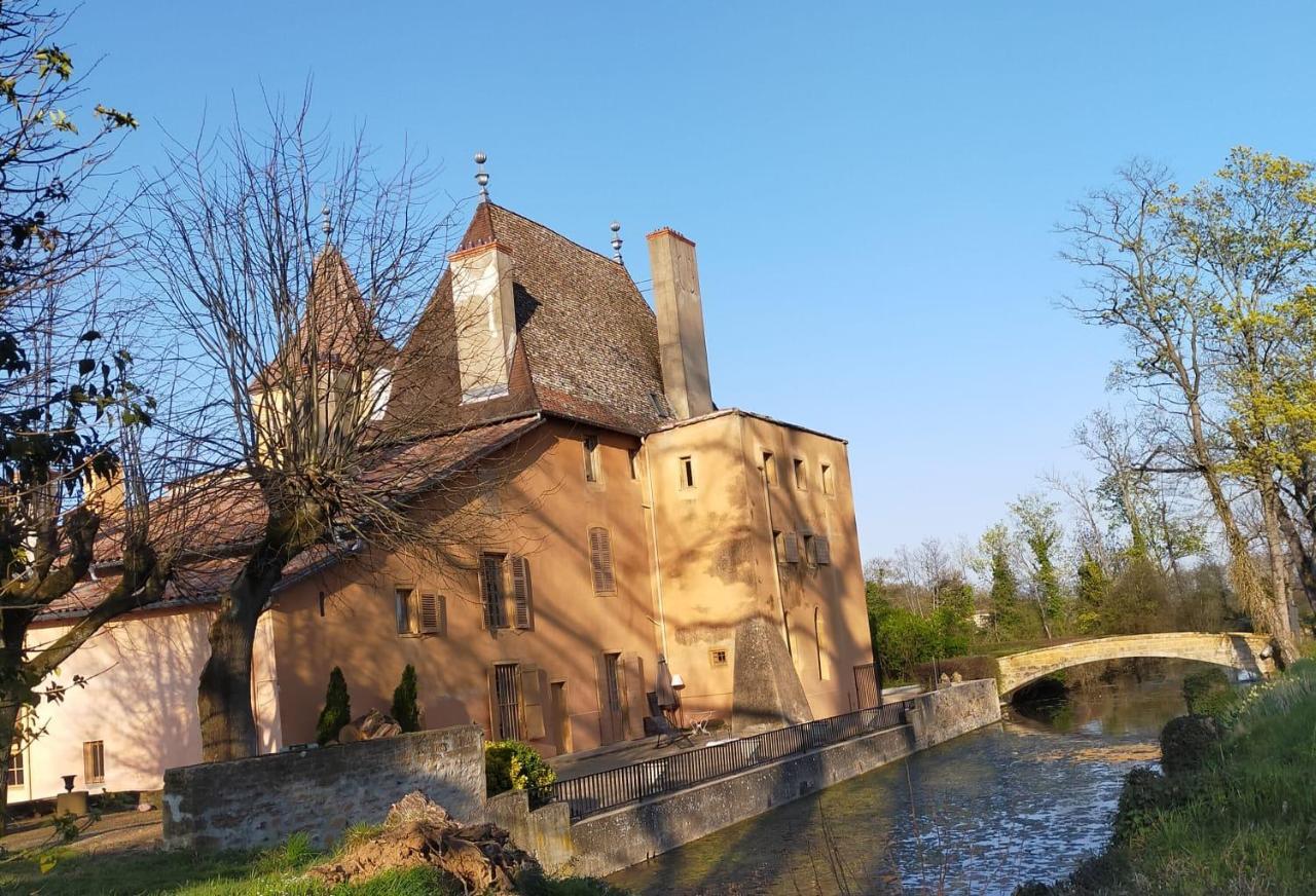 Chateau De La Venerie Denice Экстерьер фото